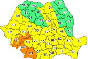 Cod galben de vânt în Teleorman