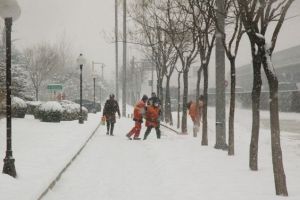 Noi alerte meteo de viscol şi frig. Vremea se va menţine deosebit de rece