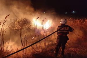 FOTO/VIDEO. Incendii de vegetaţie în Satu Mare. Semnal de alarmă tras de pompieri