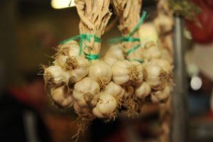 Agricultorii se pot înscrie în programul de susţinere a producţiei de usturoi