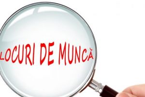 Locuri de muncă disponibile la două firme importante din Târgu Mureş