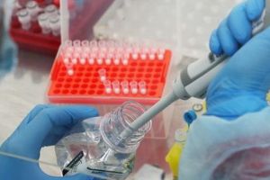 Covid-19. Au început testările la UMFST Târgu-Mureş!