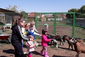 ADP Oradea: Se suspendă accesul publicului la Zoo şi la Adăpostul Grivei