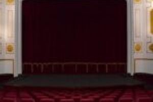 Spectacol trist! Ședinţa Consiliului Local Lugoj se mută pe scena teatrului din cauza coronavirusului