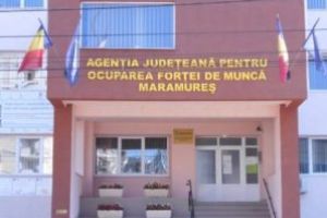 AJOFM Maramures: Unde pot obtine agentii economici informatii despre somajul tehnic sau zilele libere platite