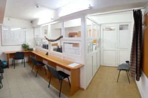 Ce facem dacă expiră actul de identintate în perioada stării de urgenţă