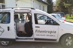 Puteţi dona bani pentru a sprijini persoanele aflate în izolare, în Timiş