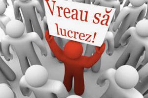 S-a prăbuşit piaţa muncii din Bihor: Într-o săptămână, numărul locurilor de muncă vacante a scăzut dramatic