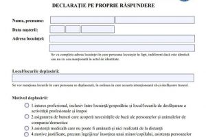 Declaraţia pe propria răspundere a fost simplificată. Descarcă AICI noul model