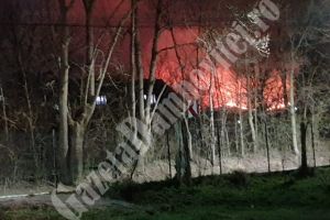 Incendiu puternic în zona Mănăstirii Dealu