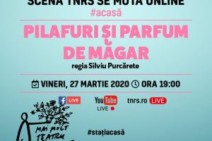 Teatrul „Radu Stanca” difuzează în premieră absolută online, primul spectacol pus în scenă la Sibiu de regizorul Silviu Purcărete