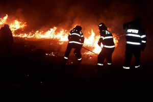 Trei incendii de vegetaţie, joi seară, în judeţul Botoşani