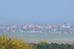 Ineul, un oraş ÎN CARANTINĂ!? Lipsa de reacţie a autorităţilor lasă localnicii PRADĂ DISPERĂRII