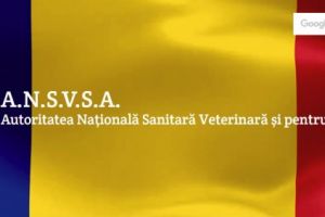 ANSVSA. Precizari despre cumpararea produselor alimentare prin comertul on-line