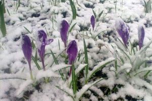 Vremea în weekend: Maxime de 19 grade sâmbătă şi duminică. De luni, se întoarce iarna şi ninsorile