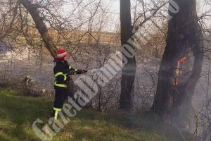 Incendiu în Parcul Cantacuzino din Ciocăneşti, aflat pe lista monumentelor istorice