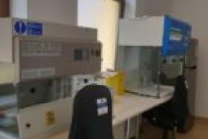 Un nou aparat de testare la Spitalul Municipal din Timişoara! „Sperăm să primim cât mai urgent kiturile de la Ministerul Sănătăţii”