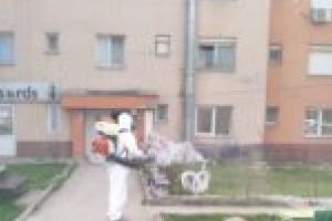 Dezinfecţie la blocul din Moldova Nouă unde a fost găsită tânăra fugită din autoizolare de la Bucureşti