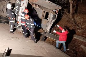 VIDEO: 60 de tăuraşi salvaţi din autocamionul răsturnat lângă Sighişoara!