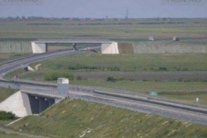 Licitaţie pentru proiectarea şi execuţia şoselei de 10 kilometri dintre drumul Timişoara – Arad şi autostrada A1