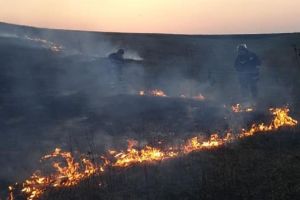 FOTI Incendiu puternic la Botoşani! Zeci de hectare de vegetaţie, cuprinse de flăcări