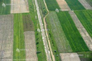 Prognoză agrometeo: Lucrările agricole se vor derula în condiţii relativ bune, în zilele următoare
