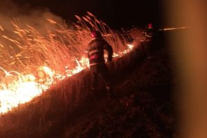 Doua incendii simultane in judetul Tulcea. Suprafata afectata este uriasa