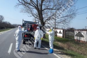 CORBII MARI Covid-19: Furnizorii de pâine şi alimente au început să ocolească comuna