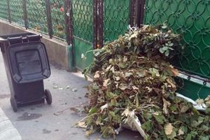 Primăria: Deşeurile vegetale abandonate pe domeniul public, ridicate până în 9 aprilie