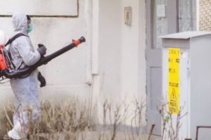 Scările de bloc din Reghin vor fi dezinfectate