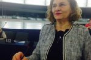 Maria Grapini a cerut sprijinul Comisiei Europene pentru intrarea României în Schengen