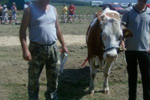 Papp Zoltán,  agricultură făcută cu atitudine, realism şi mult  curaj