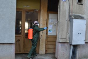 FOTO. A început dezinfecţia generală la blocurile din Carei