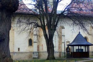 Înmormântări în sicriu sigilat, cu participarea a doar opt membri ai familiei celui răpus ...