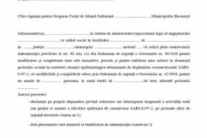 DOCUMENT Modelele de formulare pentru obţinerea indemnizaţiei de şomaj tehnic, publicate în Monitorul Oficial
