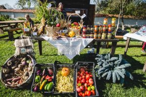 Consiliul Judeţean Sibiu lansează platforma Gusturi Sibiene – Harta cu toţi producătorii locali