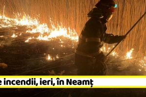 NEAMȚ: Un adăpost de animale şi peste 15 hectare de vegetaţie au ars, ieri, în Neamţ