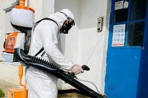 Scările de bloc din Reghin, dezinfectate