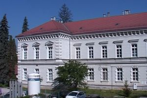 Medici militari de la Spitalul Regina Maria din Braşov, la conducerea spitalului judeţean Suceava
