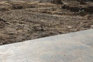 (FOTO) NOILE PAVELE DIN PIAŢA PRIMĂRIEI