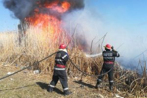 Salvatorii Sectiei de pompieri Macin, solicitati in zona localitatii Garvan