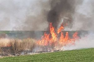 Incendiu puternic de vegetaţie şi deşeuri între Dudeştii Noi şi Satchinez. Garda de Mediu a demarat o anchetă