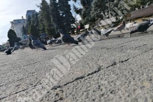 Cum va arăta vremea în următoarele trei zile
