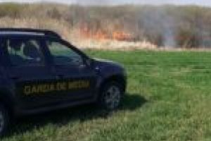 Incendiu de vegetaţie între Satchinez şi Dudeştii Noi! Garda de Mediu s-a autosesizat