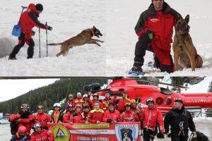 Salvamontiştii Zsolt şi Argo au promovat cu succes Stagiul Naţional de formare al câinilor de avalanşă