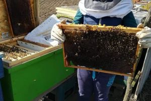 FOTO & VIDEO „Școala altfel” la Botoşani! Activităţi pline de amuzament pentru copii, alături de părinţi şi bunici