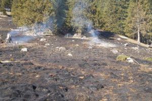 Cinci ore de muncă pentru lichidarea unui incendiu de vegetaţie uscată, la Crucea