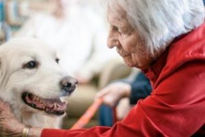 Facilităţi pentru vârstnicii deţinători de animale de companie