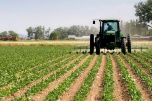 Se reiau depunerile online a cererilor unice de plată aferente Campaniei 2020