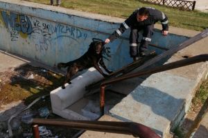 FOTO – Câine salvat de pompieri dintr-un ştrand la Agnita